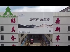 informazioni di società